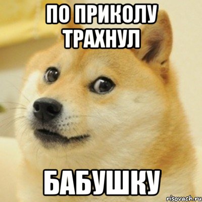 по приколу трахнул бабушку, Мем doge woof