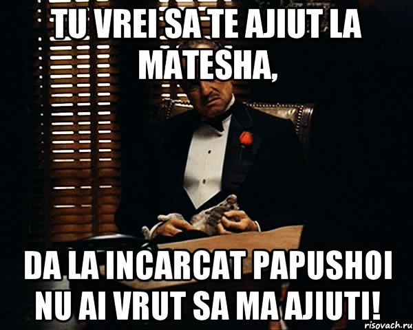 TU VREI SA TE AJIUT LA MATESHA, DA LA INCARCAT PAPUSHOI NU AI VRUT SA MA AJIUTI!, Мем Дон Вито Корлеоне