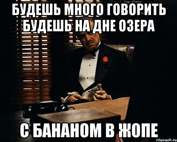 будешь много говорить будешь на дне озера с бананом в жопе, Мем Дон Вито Корлеоне