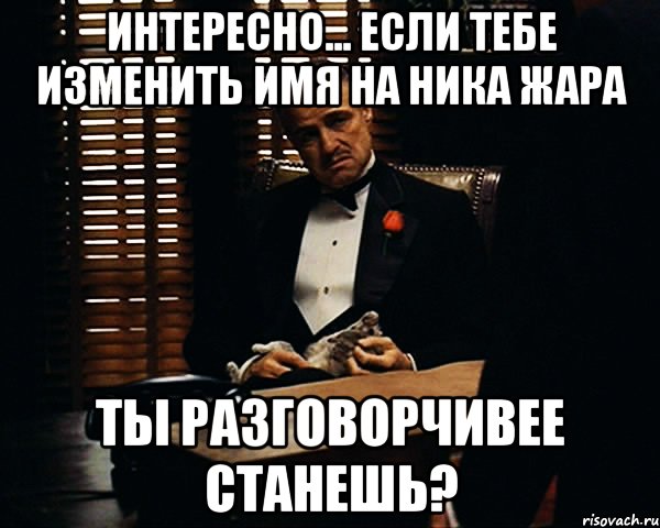 Интересно... если тебе изменить имя на Ника Жара Ты разговорчивее станешь?, Мем Дон Вито Корлеоне