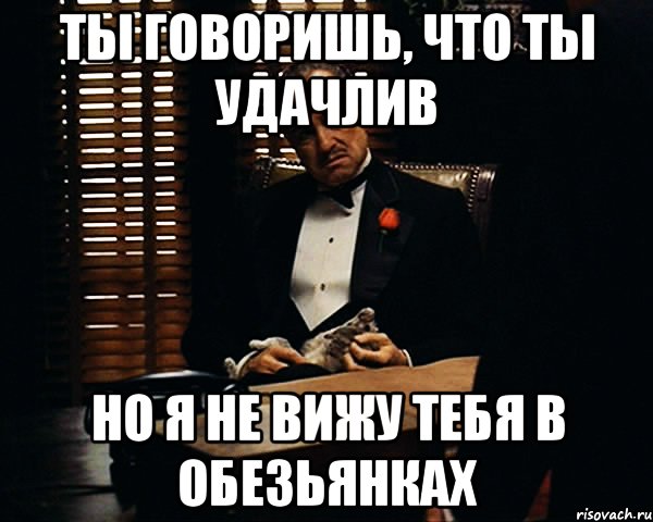 Ты говоришь, что ты удачлив Но я не вижу тебя в Обезьянках, Мем Дон Вито Корлеоне