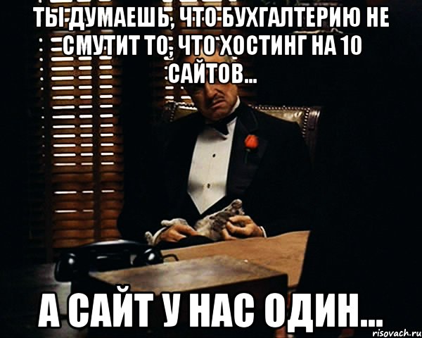 Ты думаешь, что бухгалтерию не смутит то, что хостинг на 10 сайтов... а сайт у нас один..., Мем Дон Вито Корлеоне