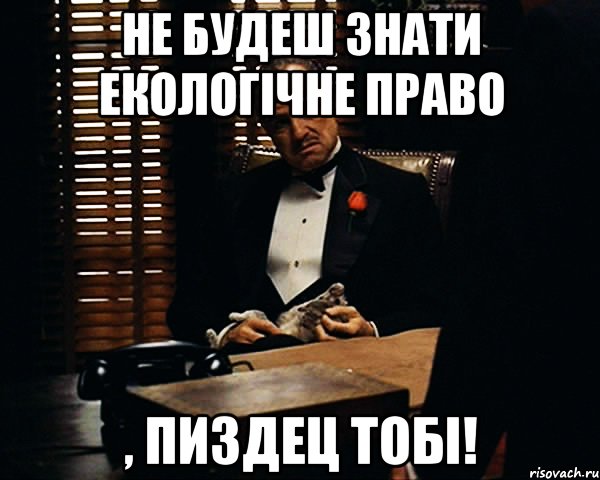 Не будеш знати екологічне право , пиздец тобі!, Мем Дон Вито Корлеоне