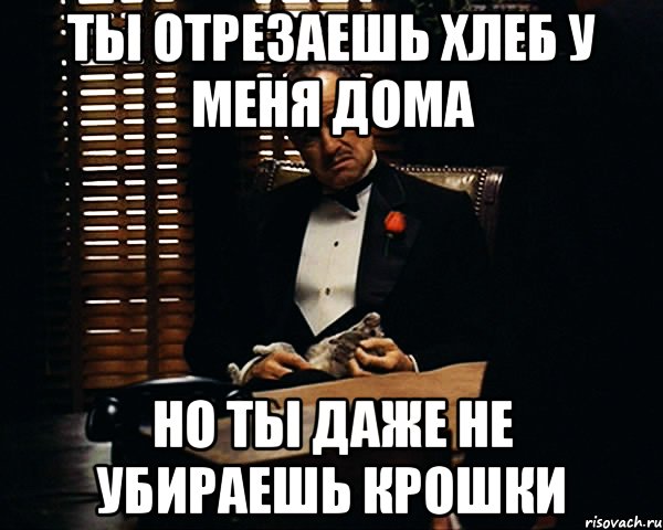 ТЫ ОТРЕЗАЕШЬ ХЛЕБ У МЕНЯ ДОМА НО ТЫ ДАЖЕ НЕ УБИРАЕШЬ КРОШКИ, Мем Дон Вито Корлеоне