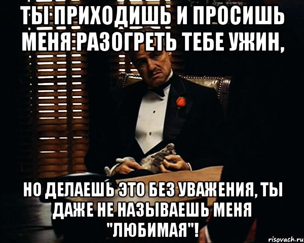 Ты приходишь и просишь меня разогреть тебе ужин, Но делаешь это без уважения, Ты даже не называешь меня "любимая"!, Мем Дон Вито Корлеоне