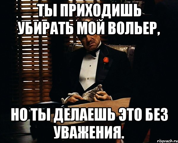 Ты приходишь убирать мой вольер, но ты делаешь это без уважения., Мем Дон Вито Корлеоне