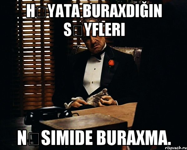 Həyata buraxdığın səyfleri Nəsimide buraxma., Мем Дон Вито Корлеоне