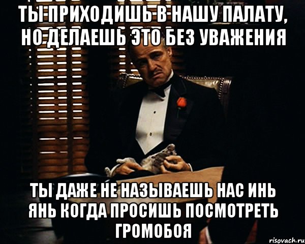 ты приходишь в нашу палату, но делаешь это без уважения ты даже не называешь нас инь янь когда просишь посмотреть громобоя, Мем Дон Вито Корлеоне