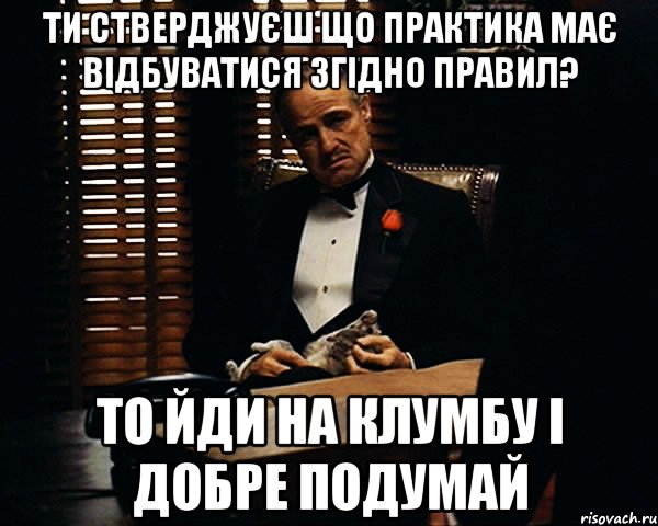 ти стверджуєш що практика має відбуватися згідно правил? то йди на клумбу і добре подумай, Мем Дон Вито Корлеоне