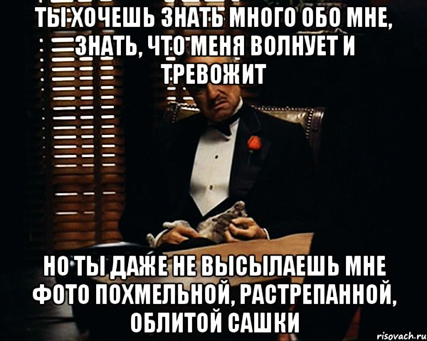 ты хочешь знать много обо мне, знать, что меня волнует и тревожит но ты даже не высылаешь мне фото похмельной, растрепанной, облитой Сашки, Мем Дон Вито Корлеоне