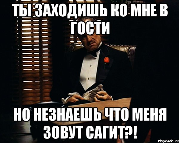 ТЫ ЗАХОДИШЬ КО МНЕ В ГОСТИ НО НЕЗНАЕШЬ ЧТО МЕНЯ ЗОВУТ САГИТ?!, Мем Дон Вито Корлеоне