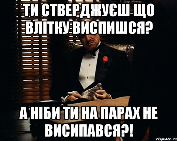 ти стверджуєш що влітку виспишся? а ніби ти на парах не висипався?!, Мем Дон Вито Корлеоне