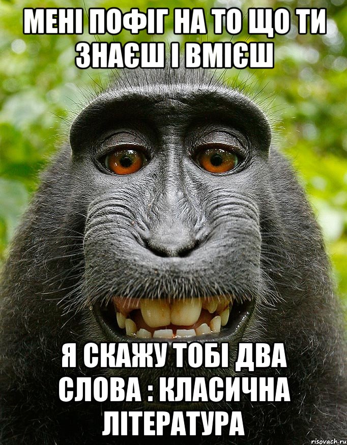 мені пофіг на то що ти знаєш і вмієш я скажу тобі два слова : класична література