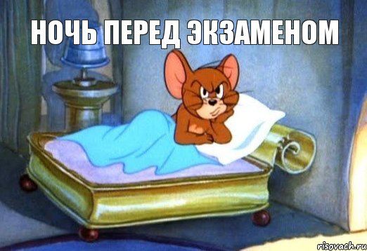 ночь перед экзаменом