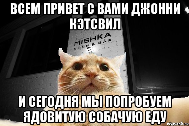 всем привет с вами Джонни Кэтсвил и сегодня мы попробуем ядовитую собачую еду, Мем   Джонни Кэтсвилл