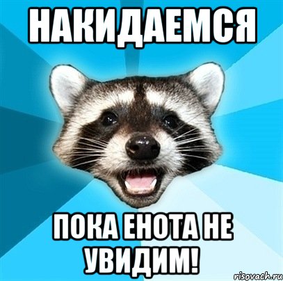 Накидаемся Пока енота не увидим!