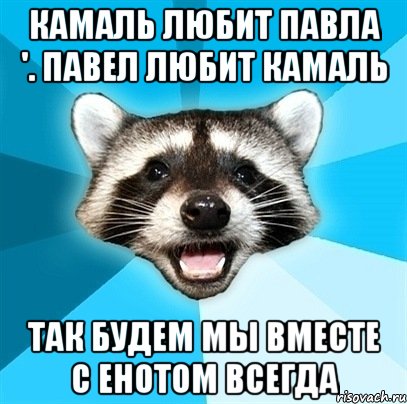 Камаль любит Павла '. Павел любит Камаль так будем мы вместе с енотом всегда, Мем Енот-Каламбурист