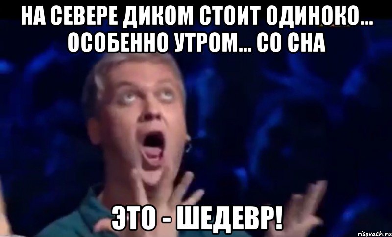 На севере диком стоит одиноко... особенно утром... со сна Это - ШЕДЕВР!, Мем  Это ШЕДЕВР