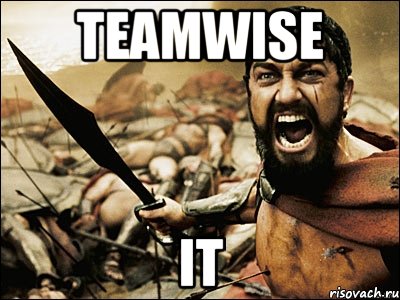 TEAMWISE IT, Мем Это Спарта