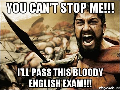 You can't stop me!!! I'll pass this bloody English exam!!!, Мем Это Спарта