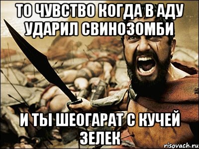 то чувство когда в аду ударил свинозомби и ты шеогарат с кучей зелек, Мем Это Спарта