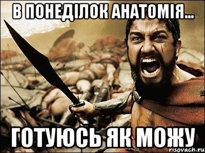 В понеділок анатомія... Готуюсь як можу, Мем Это Спарта