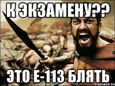 к экзамену?? это Е-113 блять, Мем Это Спарта