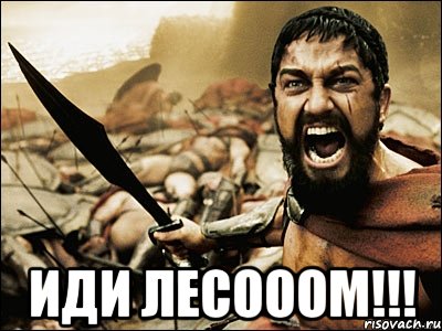  иди лесооом!!!, Мем Это Спарта