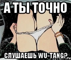 А ты точно слушаешь wu-tang?, Мем А ты точно