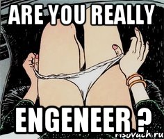 Are you really Engeneer ?, Мем А ты точно