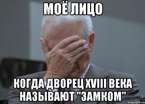 моё лицо когда дворец XVIII века называют "замком", Мем facepalm