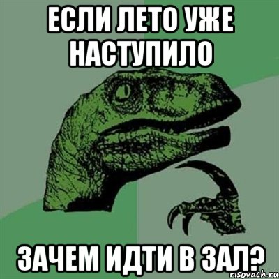 если лето уже наступило зачем идти в зал?, Мем Филосораптор