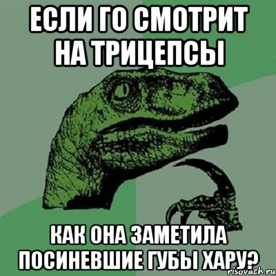 если Го смотрит на трицепсы как она заметила посиневшие губы Хару?, Мем Филосораптор