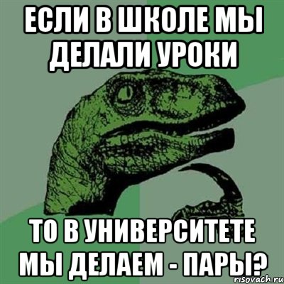 Если в школе мы делали уроки то в университете мы делаем - пары?, Мем Филосораптор