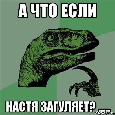 А что если Настя загуляет? ....., Мем Филосораптор