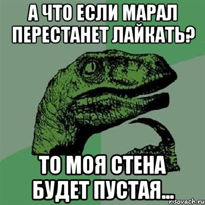 А что если Марал перестанет лайкать? То моя стена будет пустая..., Мем Филосораптор