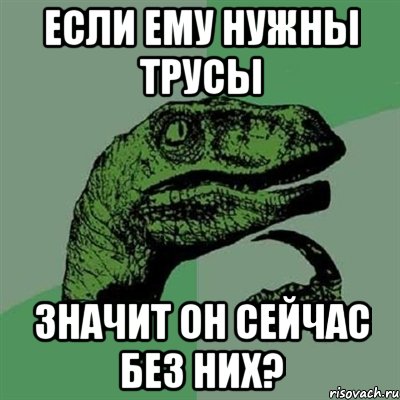 ЕСЛИ ЕМУ НУЖНЫ ТРУСЫ ЗНАЧИТ ОН СЕЙЧАС БЕЗ НИХ?, Мем Филосораптор