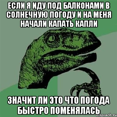 Если я иду Под балконами в солнечную погоду и на меня начали капать капли Значит ли это что погода быстро поменялась, Мем Филосораптор