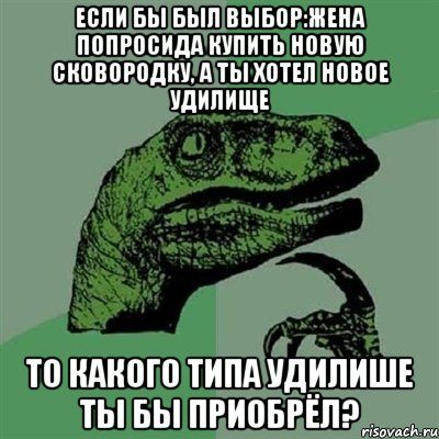 Если бы был выбор:Жена попросида купить новую сковородку, а ты хотел новое удилище То какого типа удилише ты бы приобрёл?, Мем Филосораптор