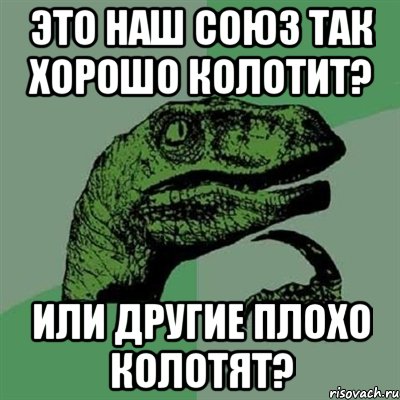 Это наш союз так хорошо колотит? или другие плохо колотят?, Мем Филосораптор