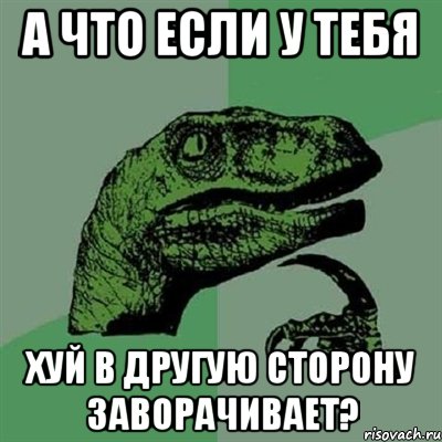 А что если у тебя хуй в другую сторону заворачивает?, Мем Филосораптор