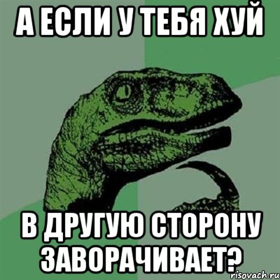 А если у тебя хуй в другую сторону заворачивает?, Мем Филосораптор