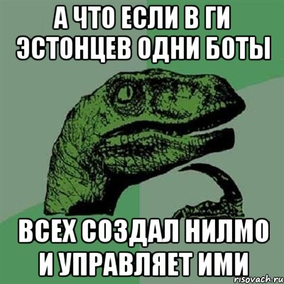 А что если в ги эстонцев одни боты всех создал Нилмо и управляет ими, Мем Филосораптор