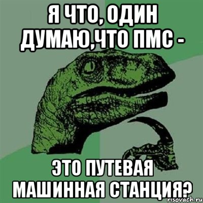 Я что, один думаю,что ПМС - это Путевая Машинная Станция?, Мем Филосораптор