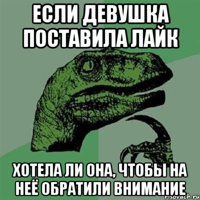 если девушка поставила лайк хотела ли она, чтобы на неё обратили внимание, Мем Филосораптор