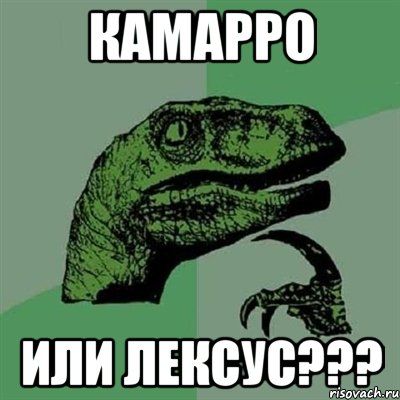 Камарро или Лексус???, Мем Филосораптор