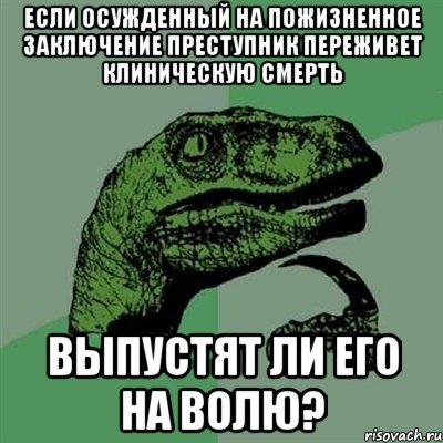 Если осужденный на пожизненное заключение преступник переживет клиническую смерть выпустят ли его на волю?, Мем Филосораптор