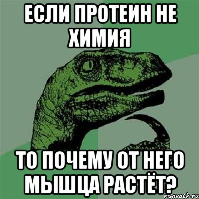 Если протеин не химия То почему от него мышца растёт?, Мем Филосораптор