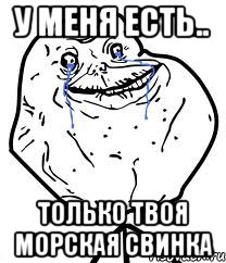 У меня есть.. только твоя морская свинка, Мем Forever Alone