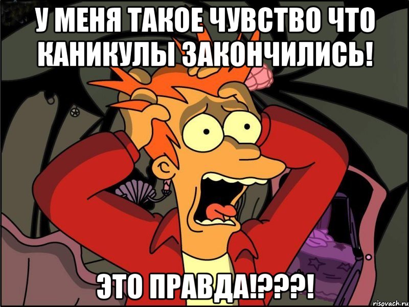 у меня такое чувство что каникулы закончились! это правда!???!, Мем Фрай в панике